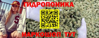 прущие крисы Лесосибирск