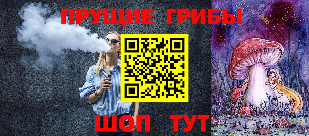 Галлюциногенные грибы Psilocybe Гусиноозёрск